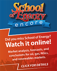 School of Energy Online