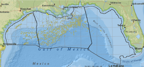 Gulf of Mexico Offshore Production Areas