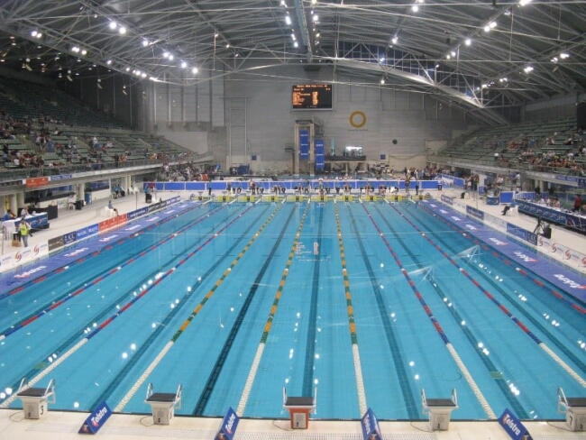 Figure 1. Olympic-Size Swimming Pool