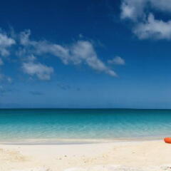 Profile picture for user gmcleod-nwr
