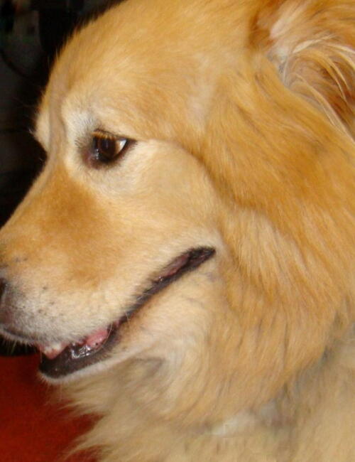 Profile picture for user Peter Warner